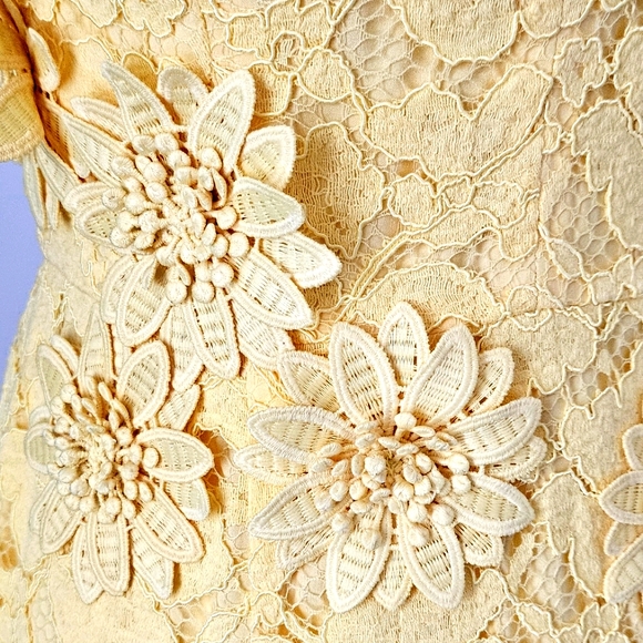 Lace Sheath Dress - Picture 2 of 9